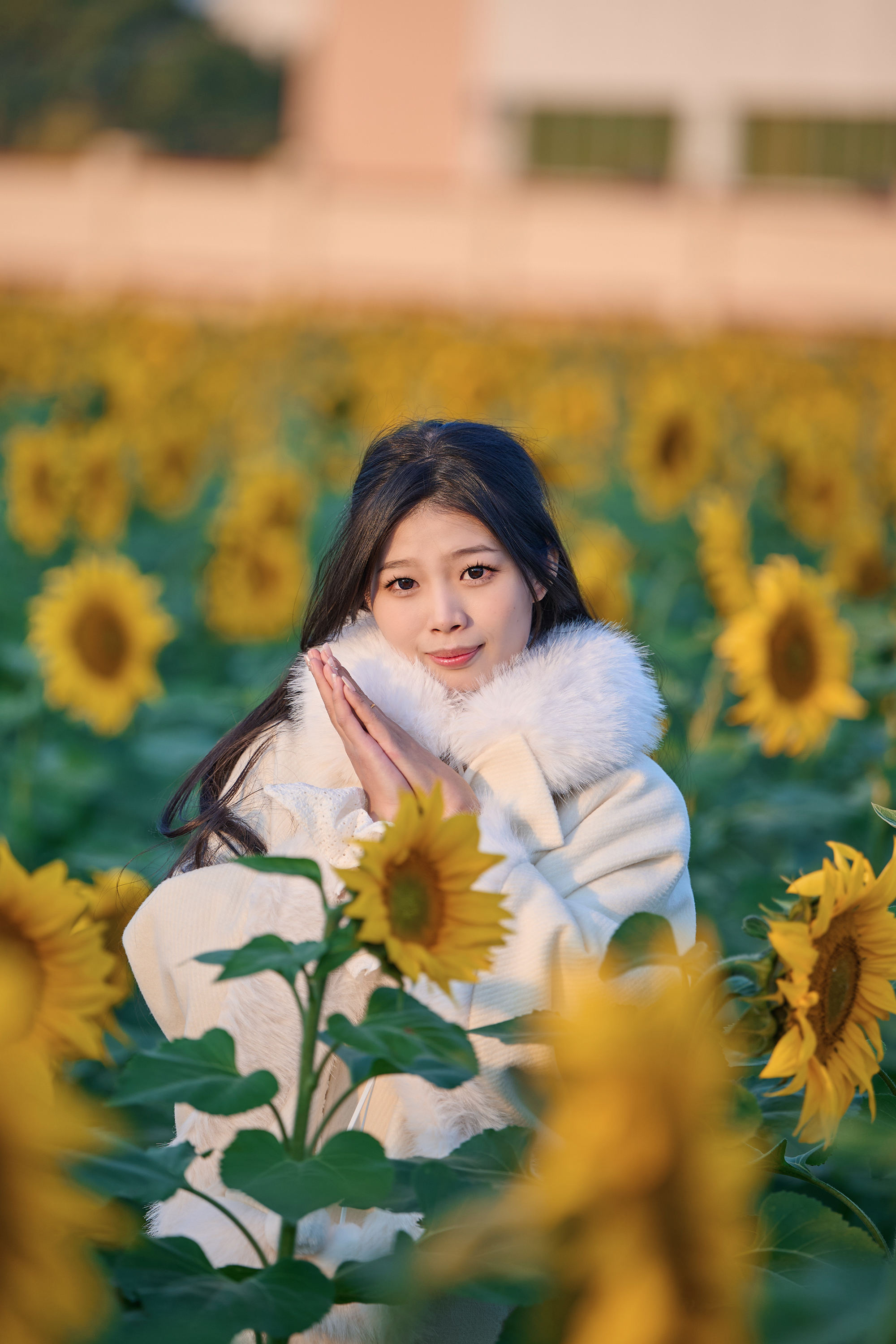 图片[5]-东莞万江葵花海🌻🌟阳光花海里的温暖时光🌟-打卡好去处摄圈-摄之圈-摄之社