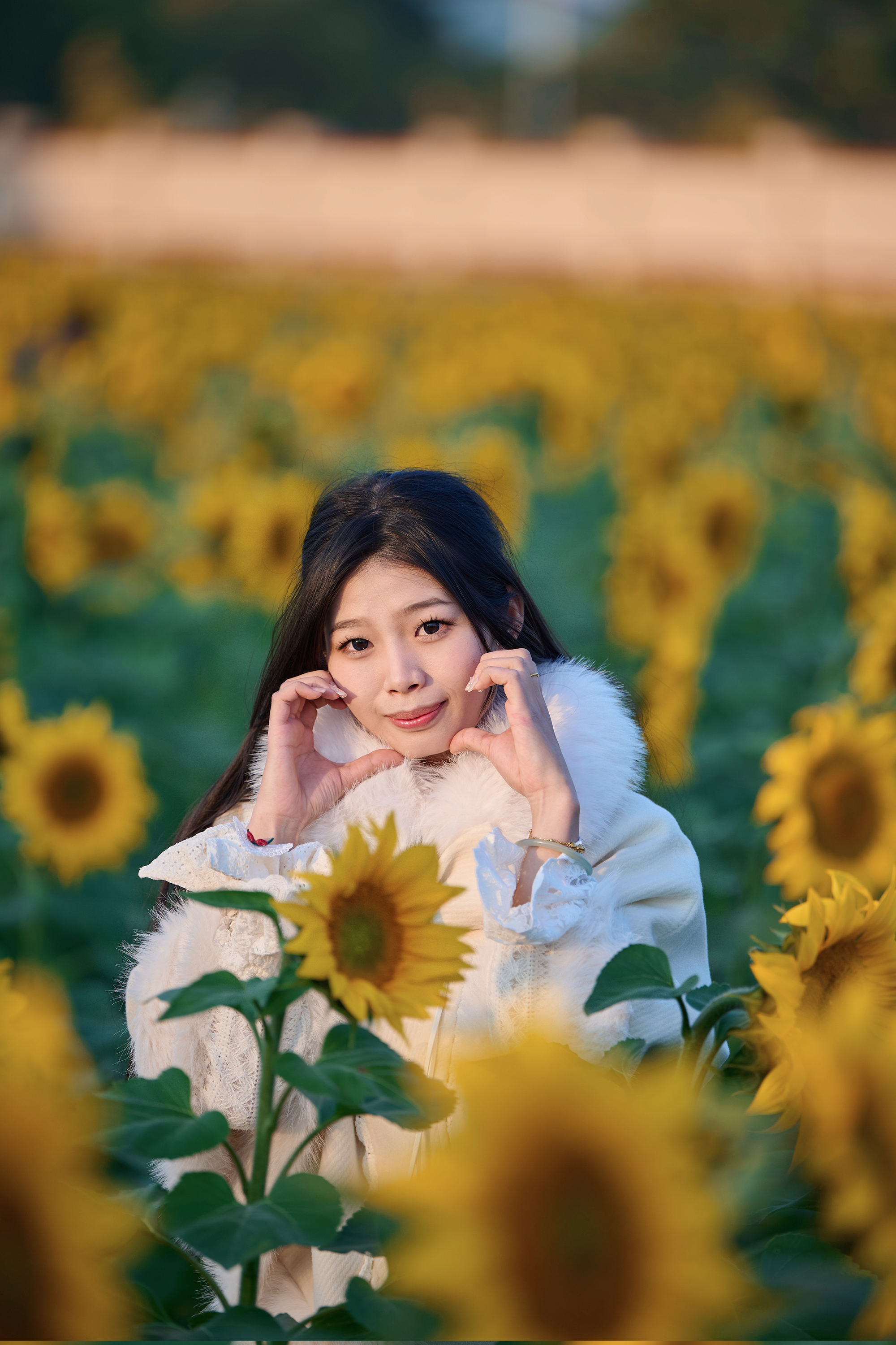 图片[6]-东莞万江葵花海🌻🌟阳光花海里的温暖时光🌟-打卡好去处摄圈-摄之圈-摄之社