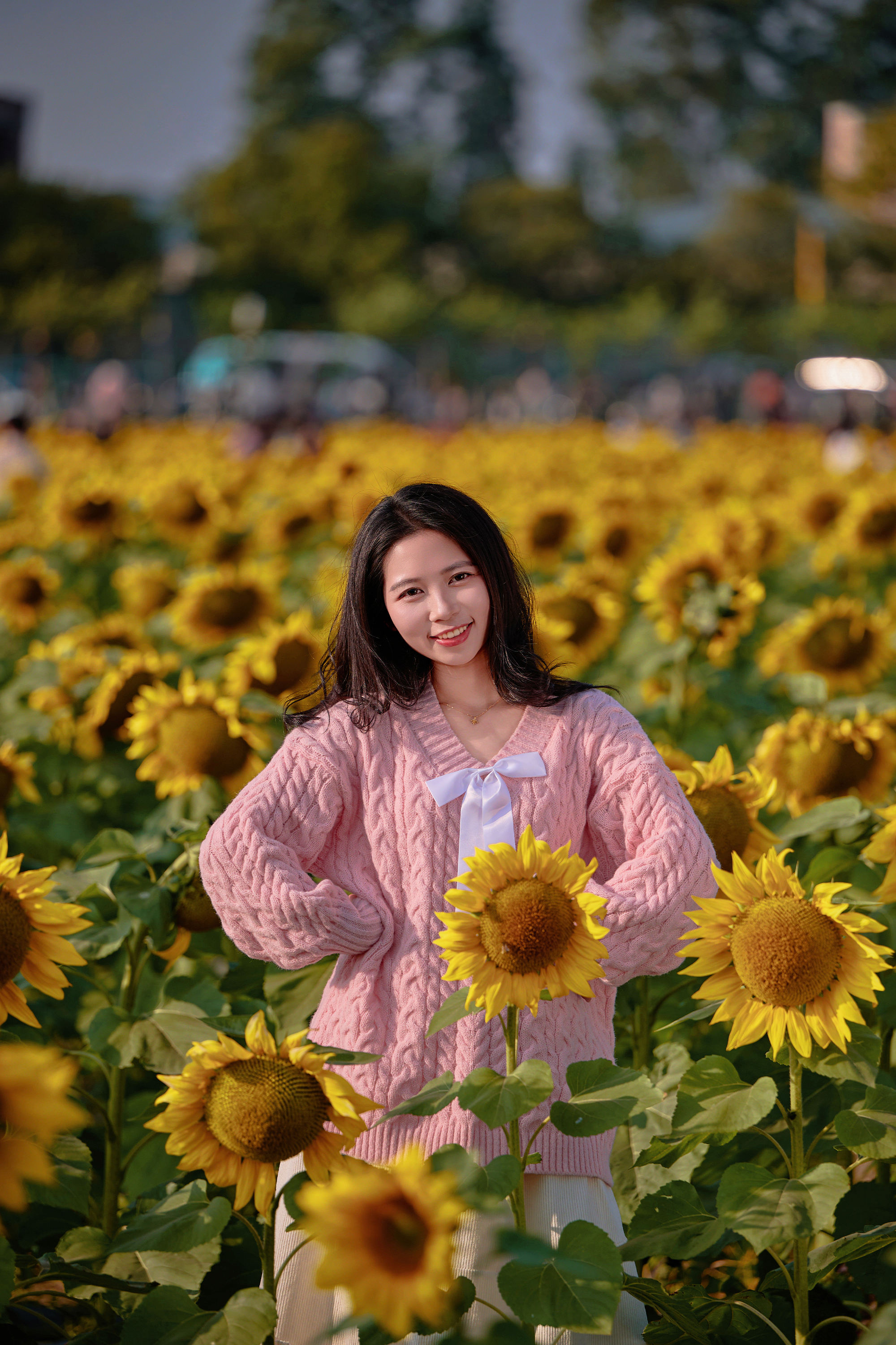 图片[5]-东莞万江葵花海🌻🌟阳光花摊葵花田🌟-摄之社