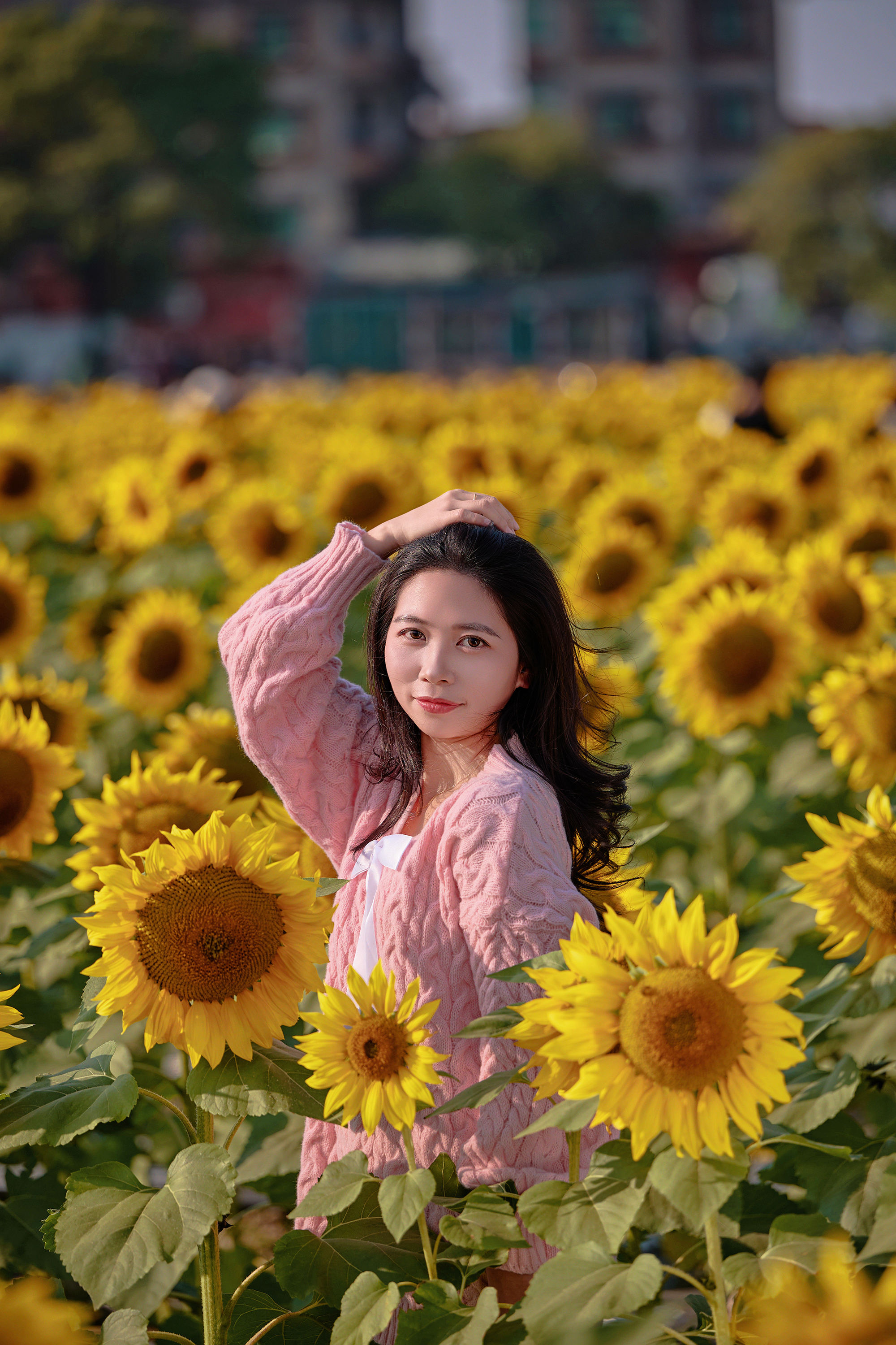 图片[7]-东莞万江葵花海🌻🌟阳光花摊葵花田🌟-摄之社