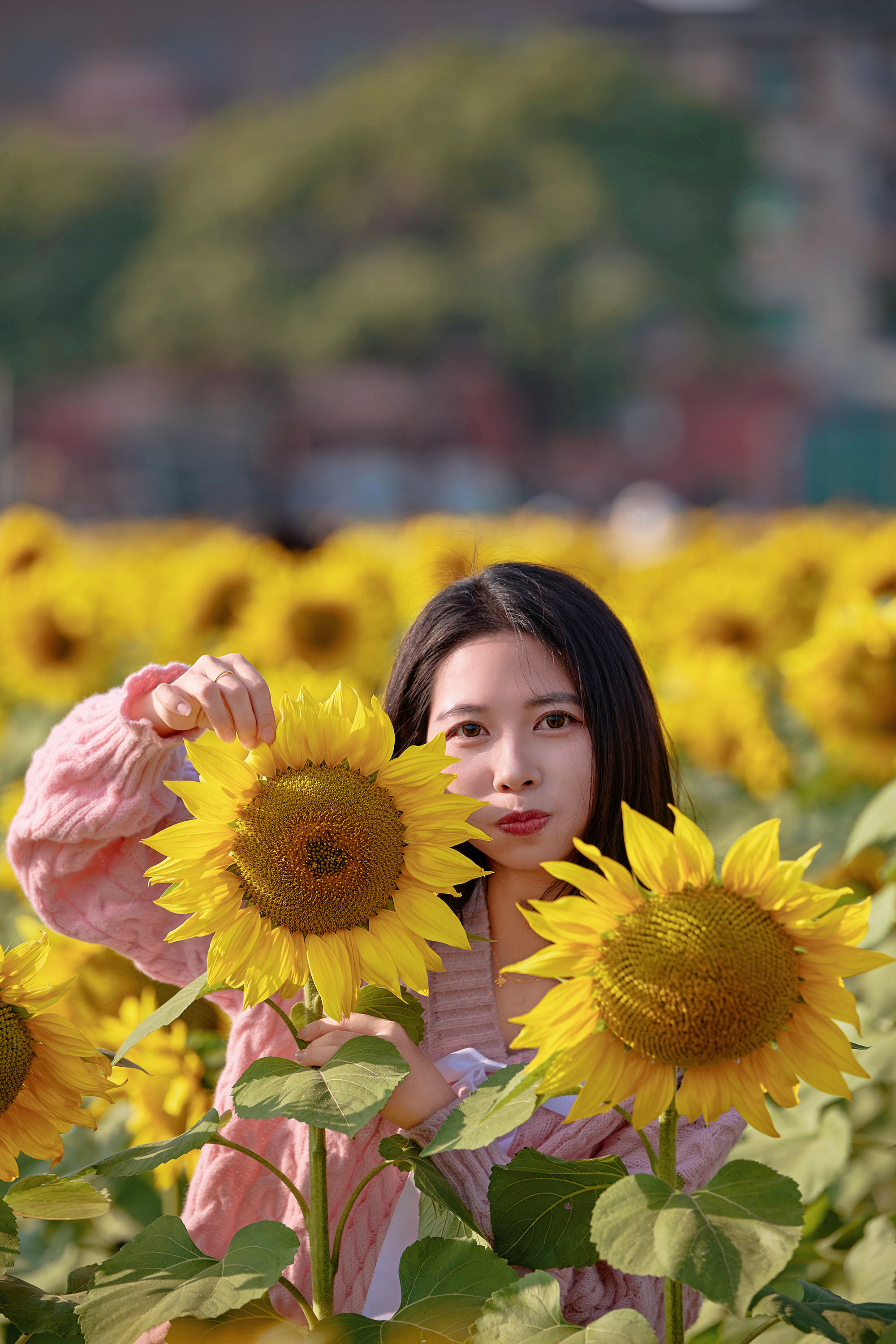 图片[6]-东莞万江葵花海🌻🌟阳光花摊葵花田🌟-摄之社