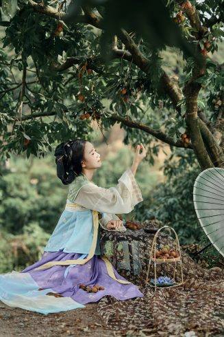 荔枝园荔枝汉服 | 今日份的甜，是荔枝味的！❤️-摄之社